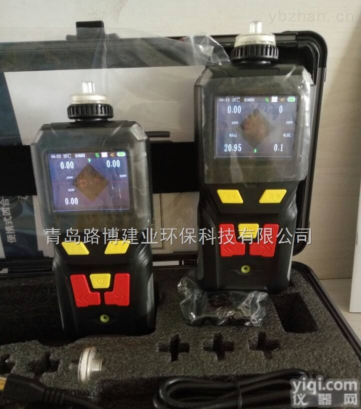 <em>青岛路博LB-MS4X单一有毒有害气体的检测仪</em> 山西 黑龙江 甘肃
