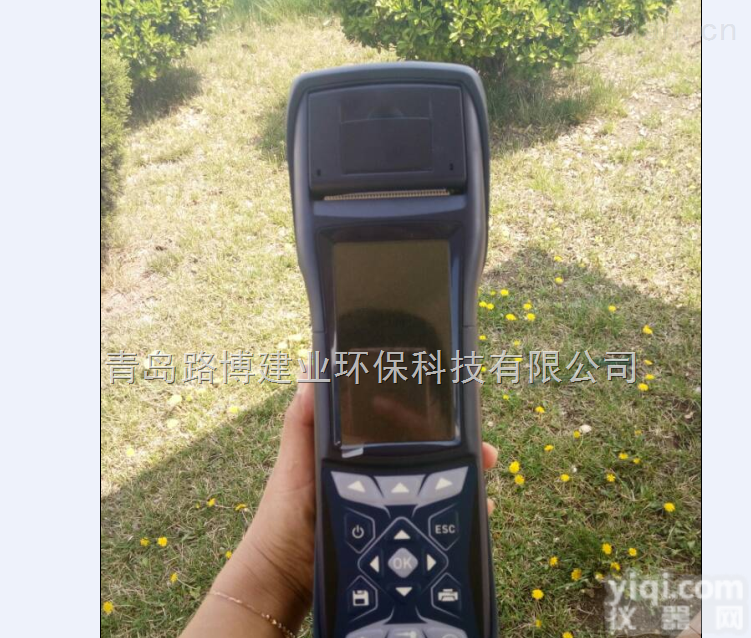 <em>北方地区</em>冬季供暖锅炉烟气检测斯尔顿烟气分析仪 C600