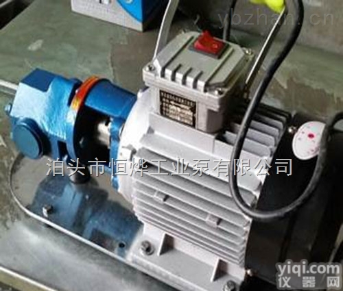 厂家供应220v<em>电动</em>WCB<em>手提式</em>齿轮泵，齿轮油泵