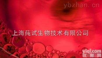 人髓母<em>细胞</em>瘤<em>细胞</em>；<em>D341Med</em><em>图片</em>