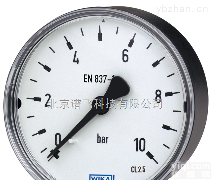 111.12  111.12<em>威卡</em>（WIKA）波登管压力表