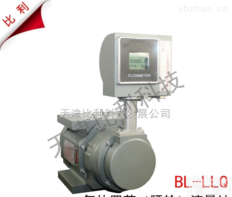 BL-LLQ  智能<em>气体</em>腰轮（<em>罗茨</em>）<em>流量计</em>