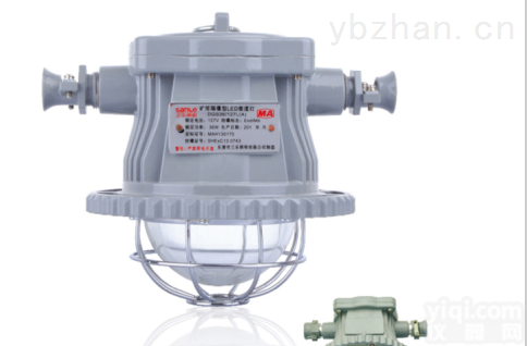 <em>DGS24/127L（A）  DGS24/127L（A）矿用隔爆型巷道灯</em>淄博批发