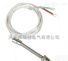 铠装铂电阻 <em> 铠装铂热电阻</em>