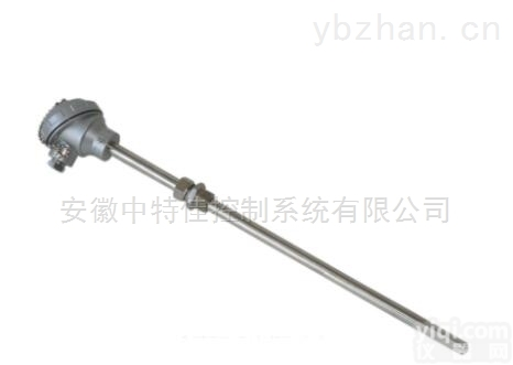 <em>WZPK2-136铠装铂热电阻</em>